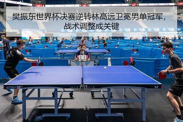fan-zhen-dong-shi-jie-bei-jue-sai-ni-zhuan-lin-gao-yuan-wei-mian-nan-dan-guan-jun-zhan-shu-tiao-zheng-cheng-guan-jian-2-540.jpg
