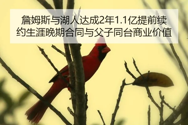 詹姆斯与湖人达成2年1.1亿提前续约生涯晚期合同与父子同台商业价值